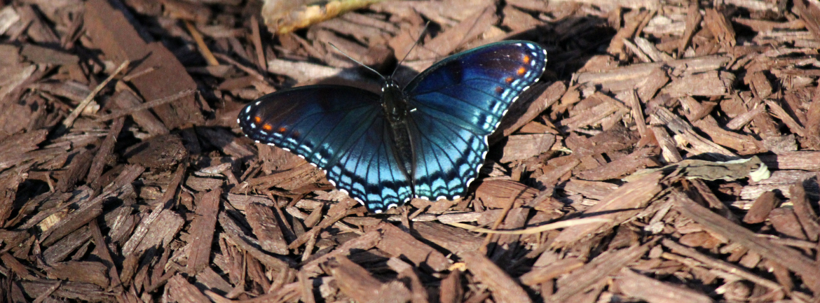 image de fond de l'actualité