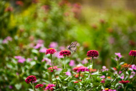 image de fond de l'actualité