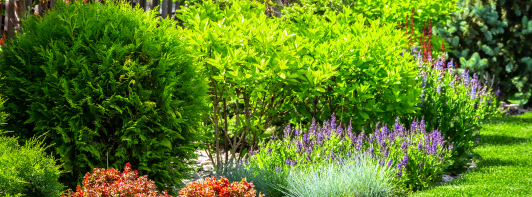 image de fond de l'actualité