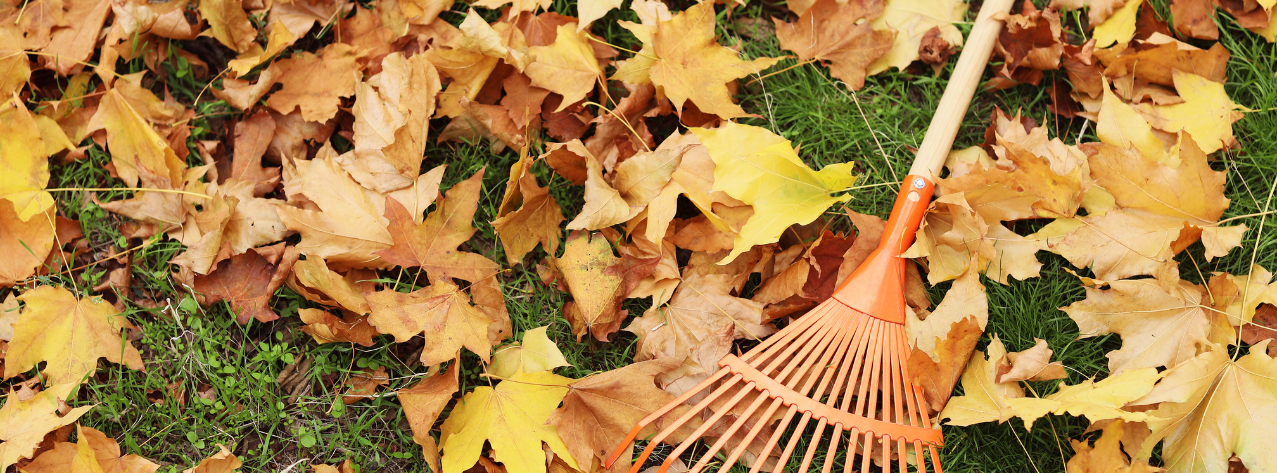 image de fond de l'actualité