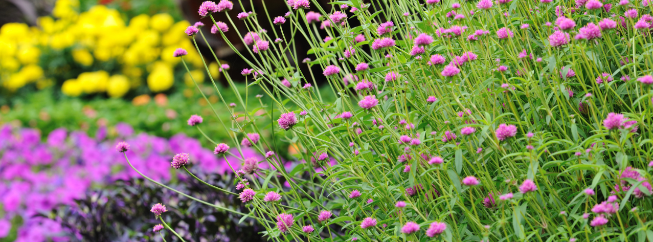 image de fond de l'actualité