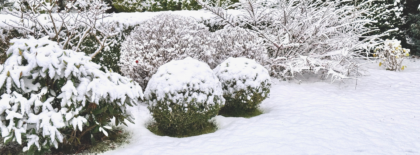 image de fond de l'actualité