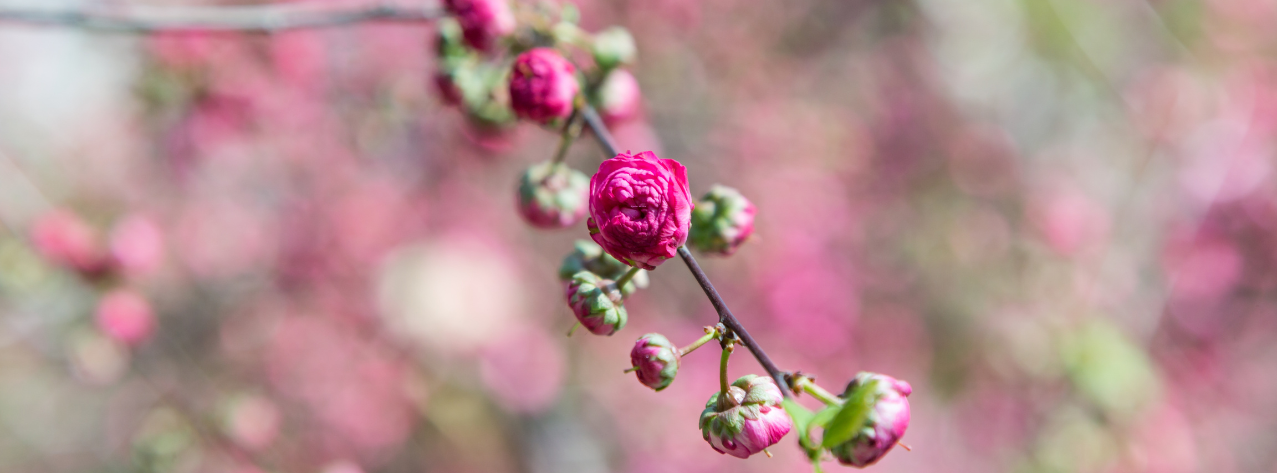 image de fond de l'actualité